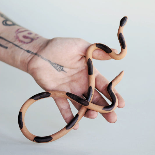 Wall Snake - Year of the Snake