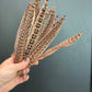 Pheasant Feathers