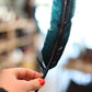 Black Crow Feathers for Smudging and smoke ritual Faiza Naturals 