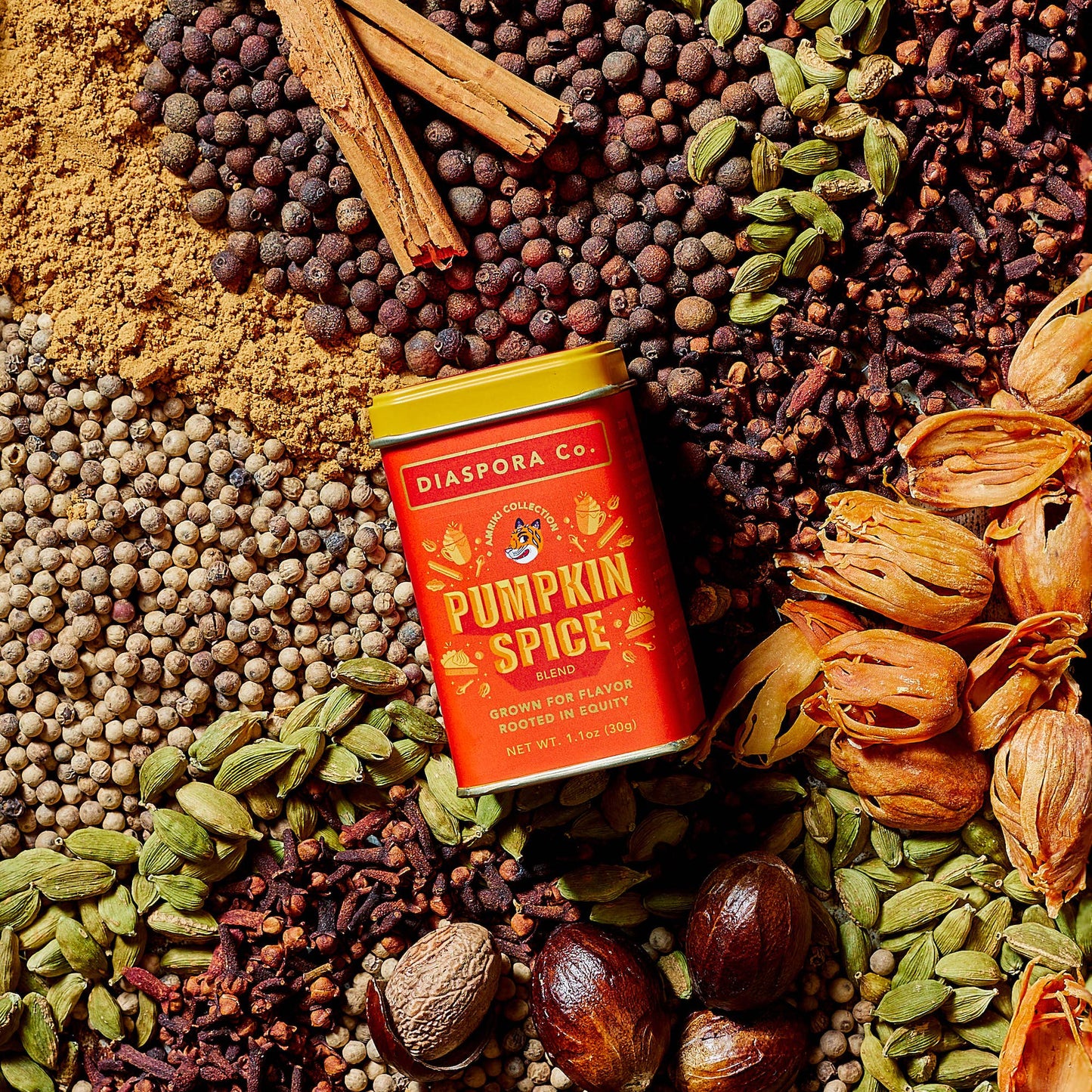 Pumpkin Spice (Spice Blend) - For Lattes & Baking