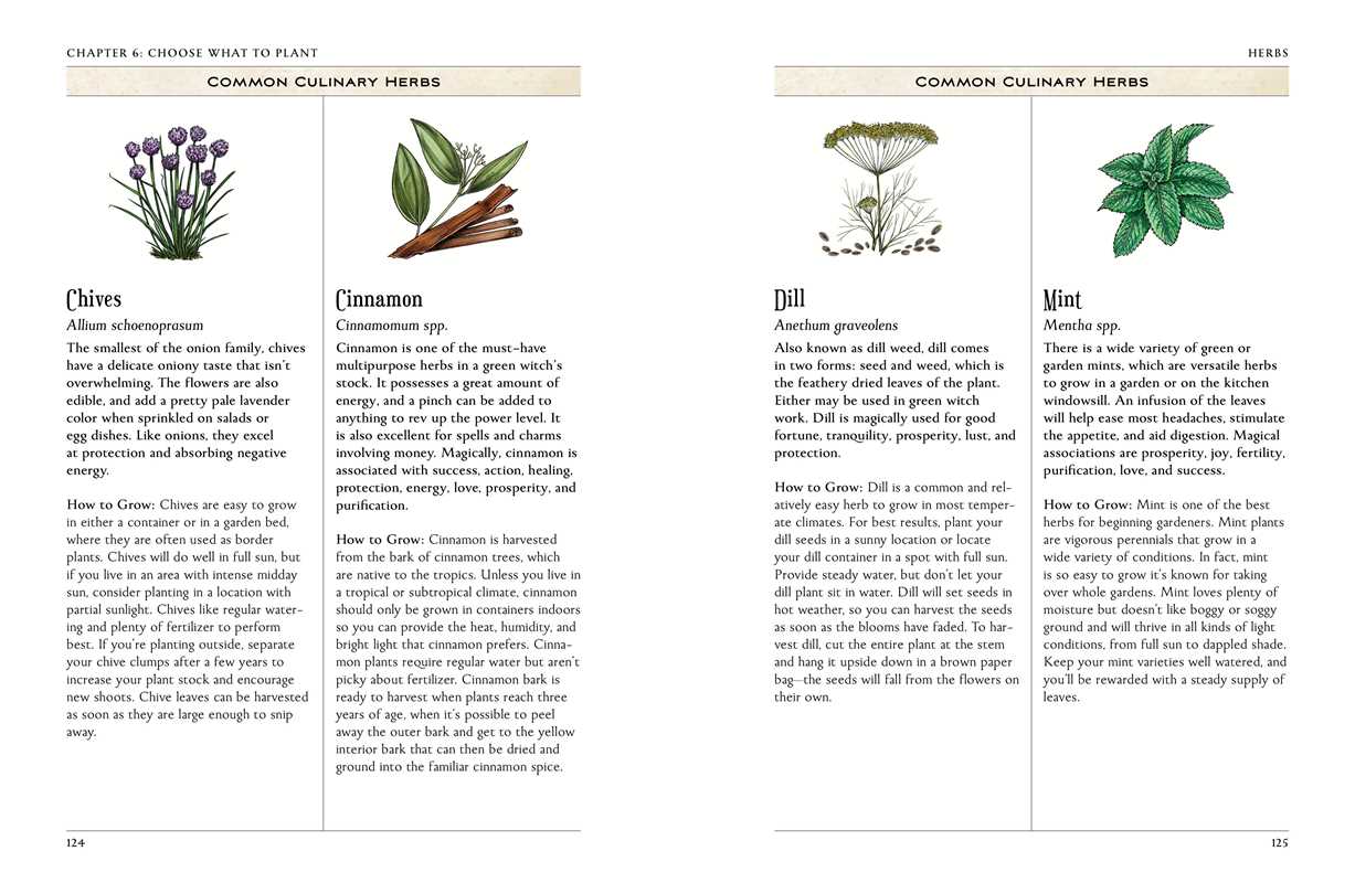 Green Witch's Garden by Arin Murphy-Hiscock: Hardcover; 224 pages / English