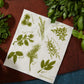 Herbs on White Swedish Dishcloth