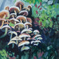Print, Home Décor, Fine Art, Artwork - Mushroom Meditation Eliza Marie Art 