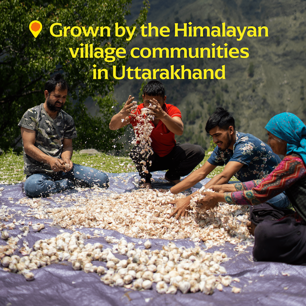 Pahadi Pink Garlic (Powder) -  Single-Origin Spice