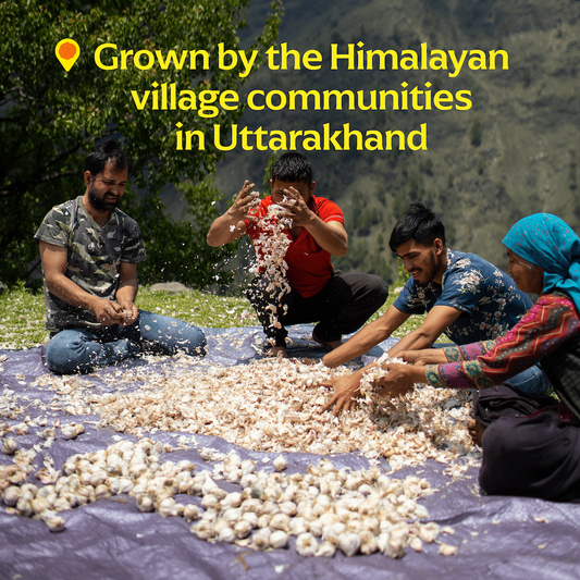 Pahadi Pink Garlic (Powder) -  Single-Origin Spice